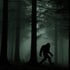 Silhouette of Bigfoot walking through a dark, foggy forest with tall pine trees.