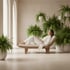 Longevity & Regeneration