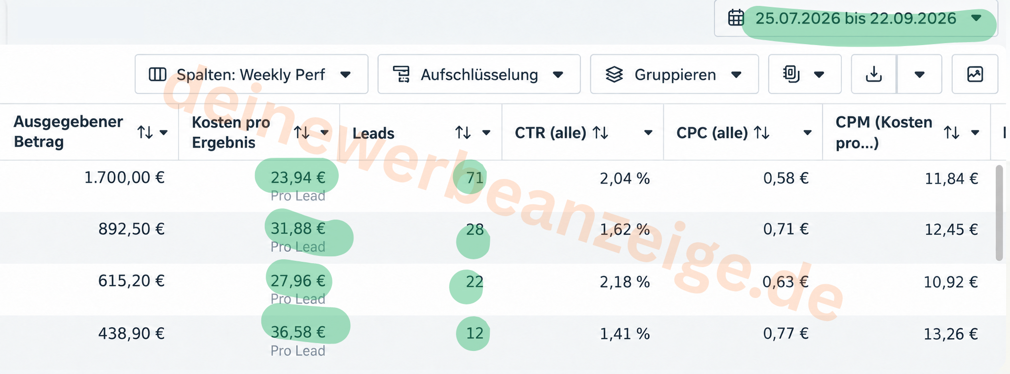 Screenshot Werbeanzeigenmanager, Kosmetikstudio in Hannover