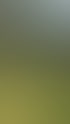 Grüner Gartenweg durch einen dicht bewachsenen, ruhigen und naturnahen Garten mit viel Privatsphäre