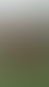 Fußballteam von Kindern in schwarzen Trikots und roten Shorts umarmt sich im Kreis auf einem grünen Feld.