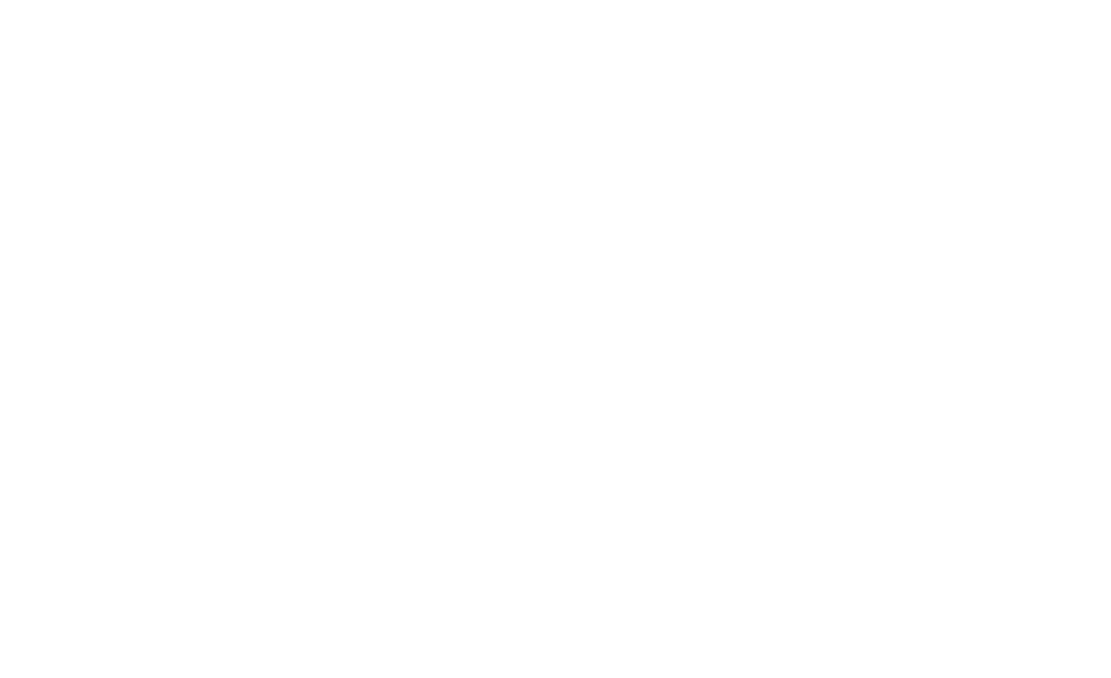WV SEMINARE Logo: Weißes, komplexes geometrisches Polygon über dem Text "WV SEMINARE" und "MIT SINN, SYSTEM UND SYNERGIE".