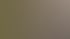 Schenkung zu Lebzeiten