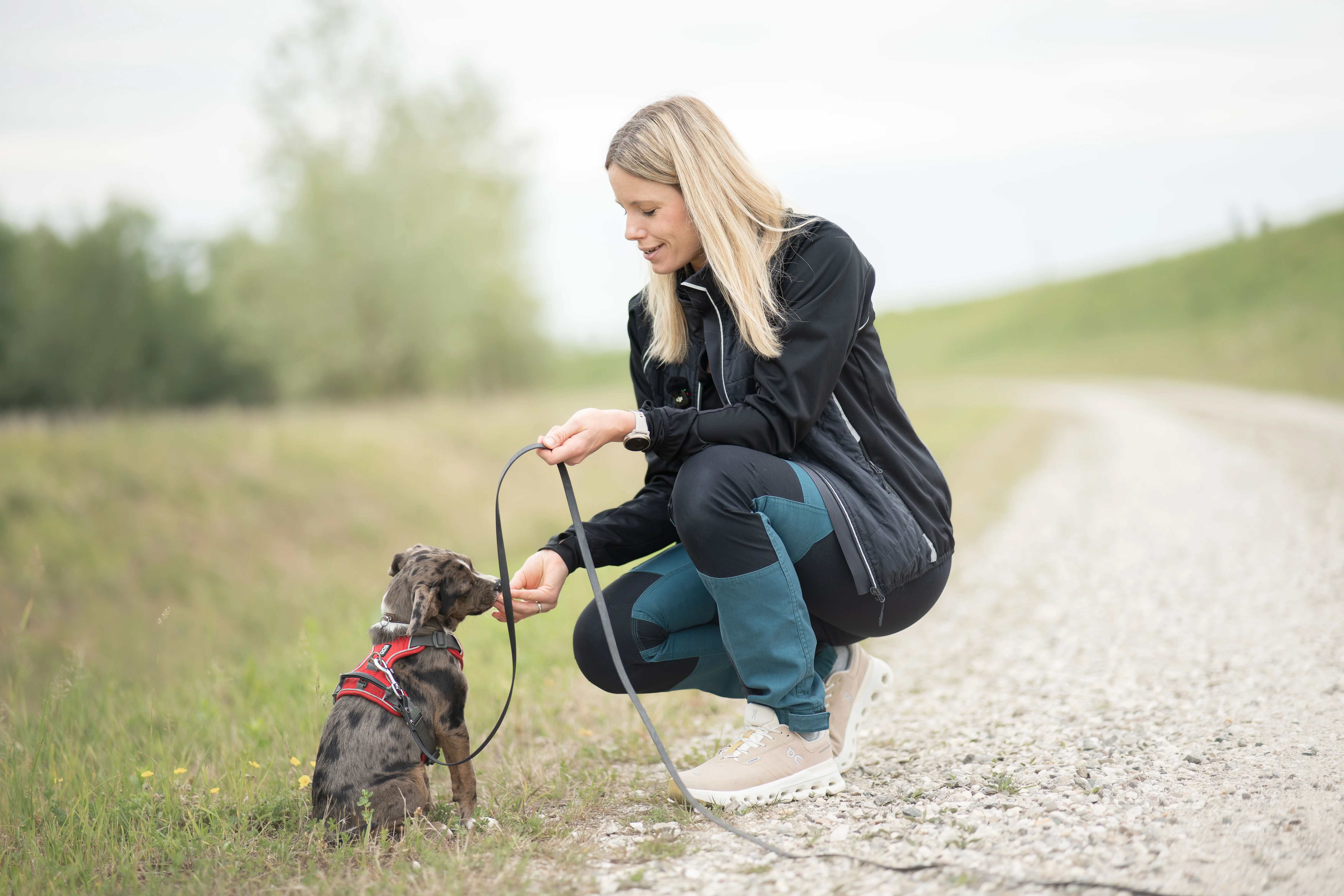 Hundetrainerin Sabrina übt mit Welpe Bruce an der Leine