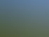 Ein langer, schmaler Teich mit Steinen an einem Ende, umgeben von Gras und Bäumen unter blauem Himmel.