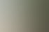 Ein Gärtner verlegt Rollrasen auf einem grauen Untergrund.