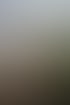 Holzterrasse neben einem Haus mit einer Hecke, einem Grill und einem Tisch unter bewölktem Himmel.