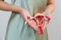 Person holding anatomical model of female pelvis