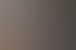 Hände halten ein Tablet mit dem Microsoft Copilot Logo und dem Text Your everyday AI companion vor grünem Pflanzenhintergrund.