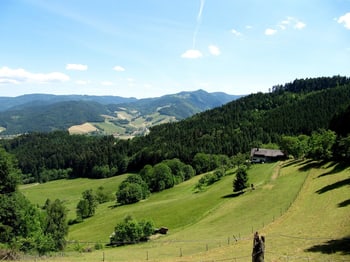 Landschaft im Schwarzwald