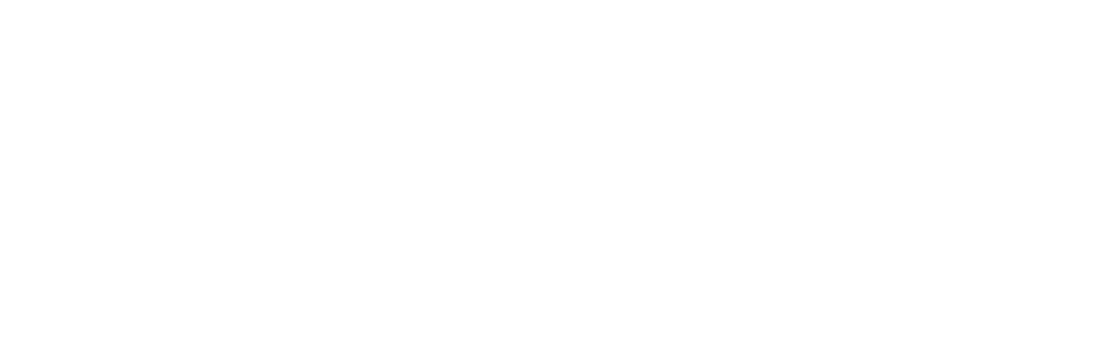 Weißer Text "alpha services" auf grünem Hintergrund, mit einem stilisierten weißen Löwenkopf als Teil des Buchstabens "a".