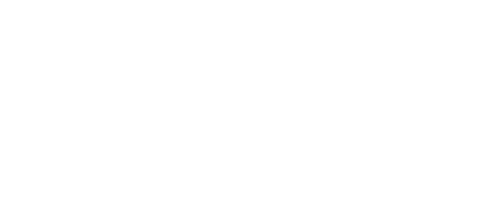Weißes Firmenlogo Belwo Kabel auf transparentem Grund