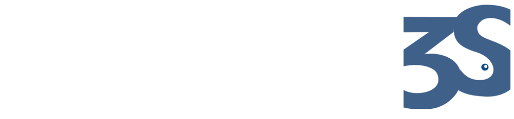 Logo: Fischer Sicherheit Schutz Systeme, mit blauem "3S" Symbol.
