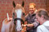 Ein Tierarzt behandelt ein braunes Pferd mit einer Blesse in einem Stall mit einem medizinischen Lasergerät am Rücken.