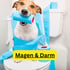 Hund mit Toilettenpapier in der Schnauze sitzt auf Toilette; Text: Magen & Darm