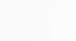 Kundenstimme über SPEEDSCALING