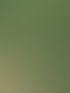 Forstservice Frankfurt (Oder) | Forstservice Winnige