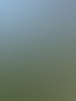 Drei Personen gehen auf einer grünen Rasenfläche neben einem Teich mit Seerosen und Häusern im Hintergrund.