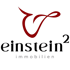 Rotes geschwungenes Logo über dem schwarzen Text "einstein²" und dem kleineren Text "immobilien"