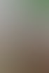 Premium-Webseite von Stegemann Media