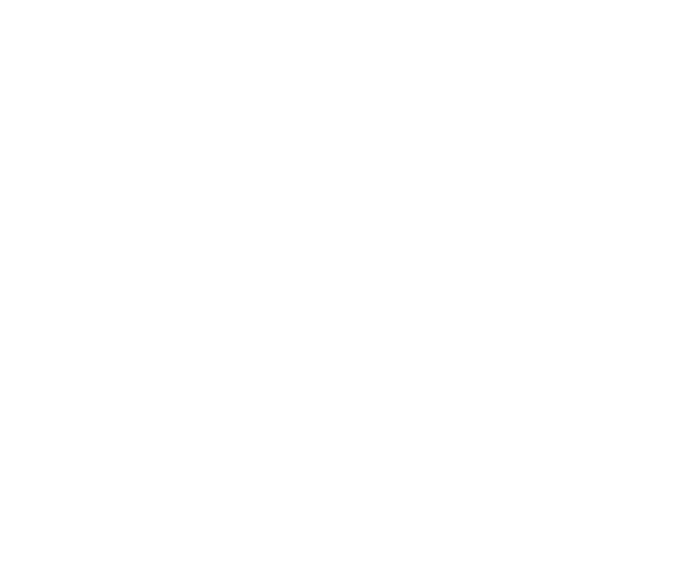 Logo Leasing Club weiß ohne Hintegrund