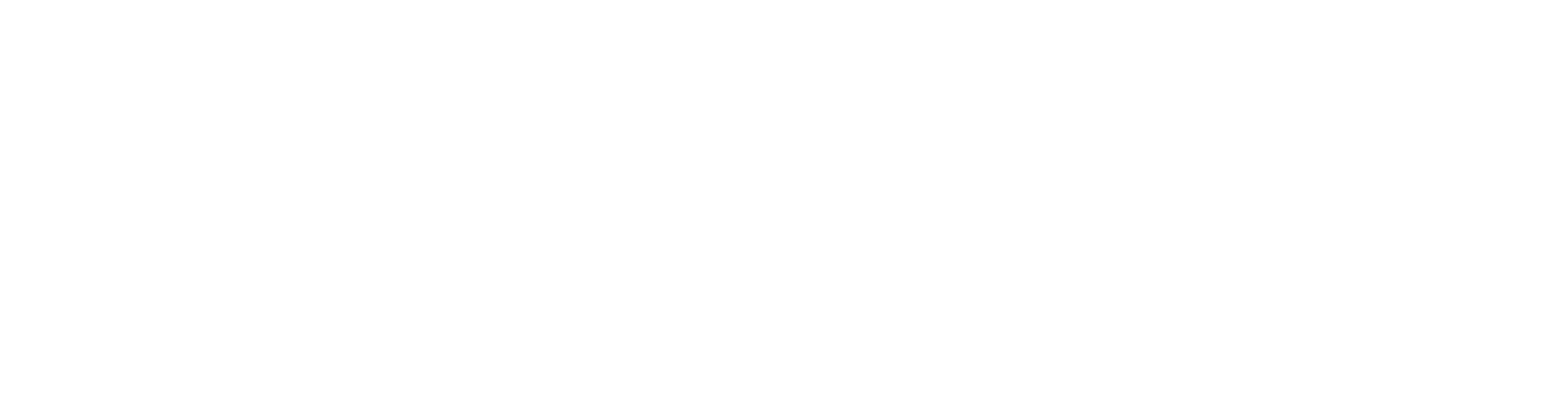 bosch & co.