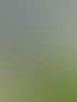 Drei Bauarbeiter installieren große Glasscheiben vor einem Buntglasfenster mithilfe eines Krans und Leitern.