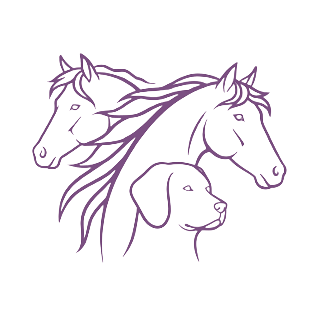 Logo von Equi-Well-Care-herapie