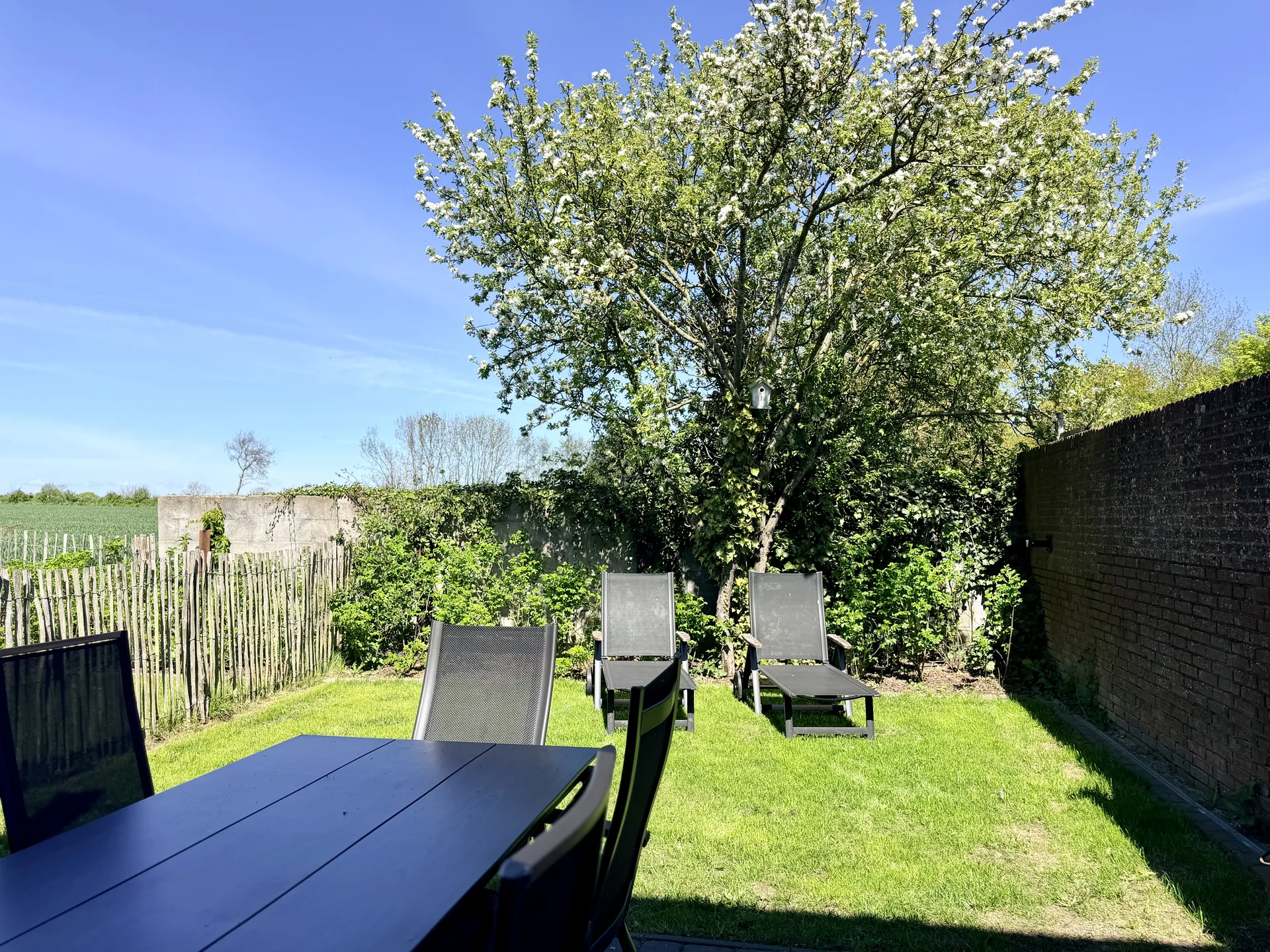 Appelboom