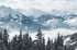 ValuePoint's Hero Header, depicting trees in the foreground at the bottom, with snowy mountains in the back.