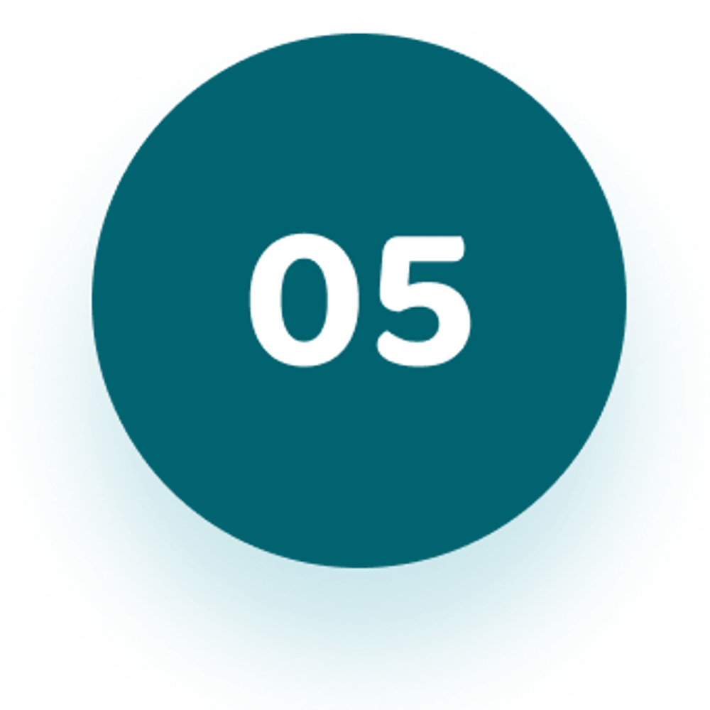 05 Icon