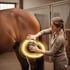 Frau behandelt das Hinterteil eines braunen Pferdes mit einem golden leuchtenden Gerät.