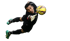 Ein Torwart in schwarzer Uniform, der einen gelb-violetten Fußball abwehrt.
