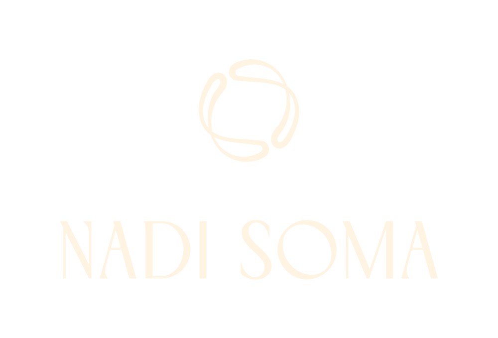 Nadi Soma Logo mit einem abstrakten, kreisförmigen Symbol aus geschwungenen Linien auf schwarzem Hintergrund.