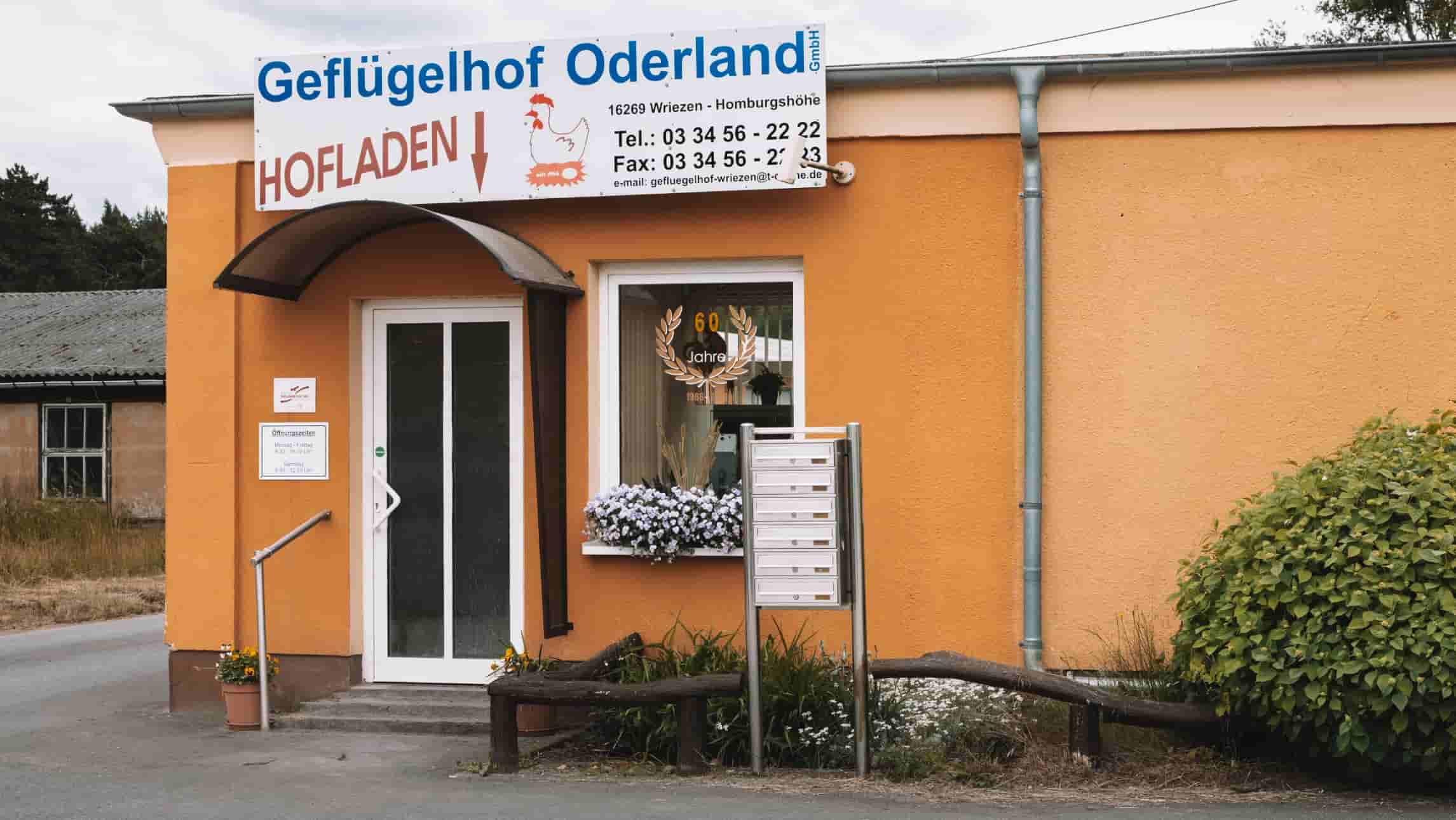 Hund