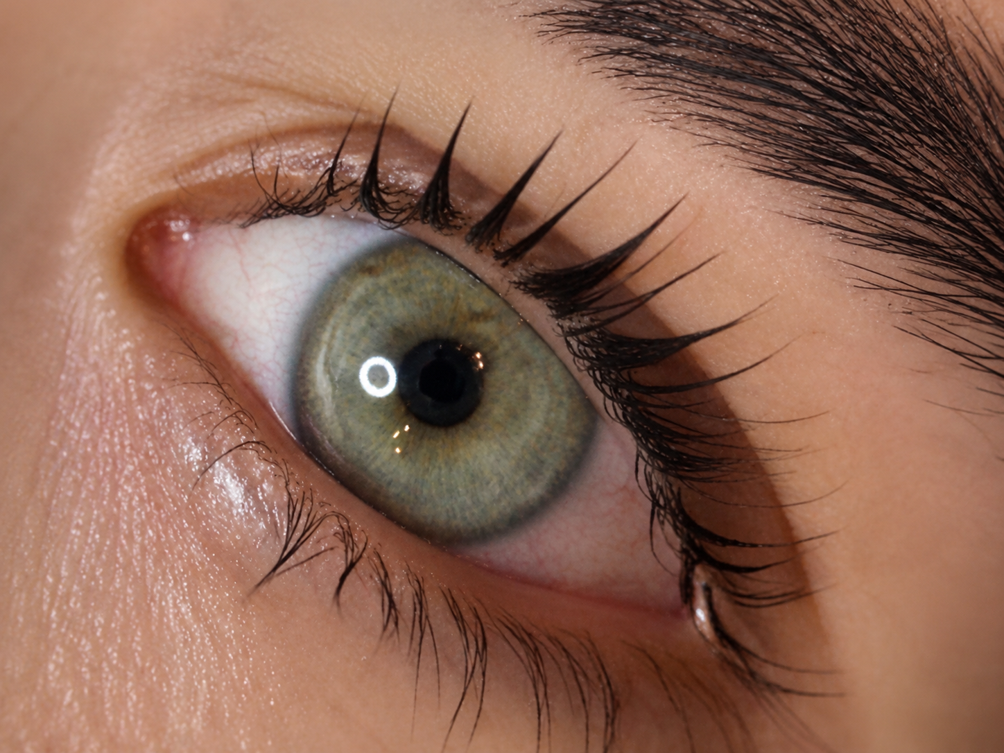 Lash & Brow Lifting Technik bei SWON in Pforzheim