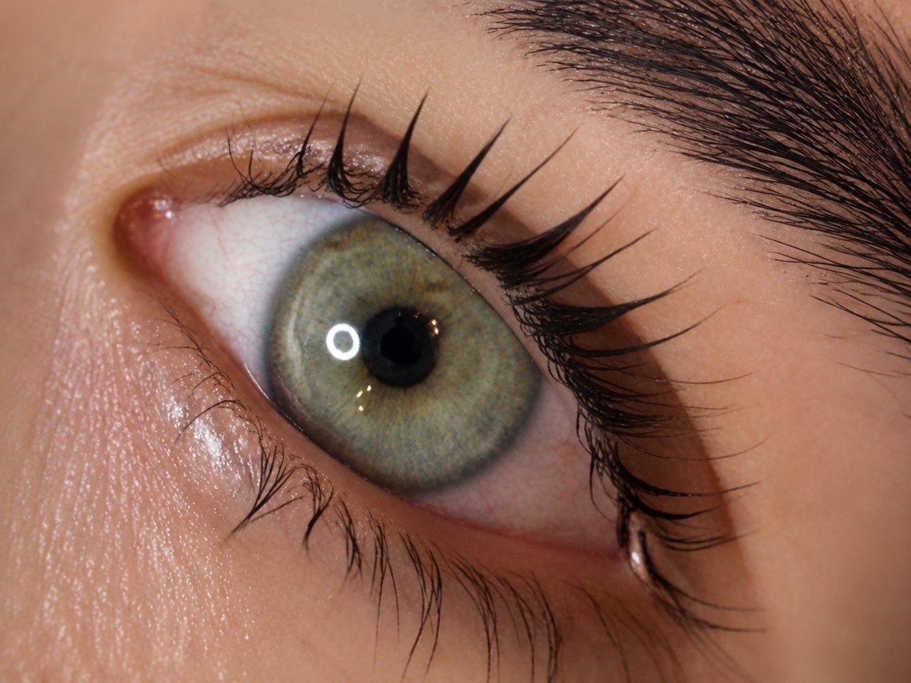 Lash & Brow Lifting Technik bei SWON in Pforzheim