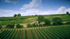 Blick über die Weinberge der Großen Lagen