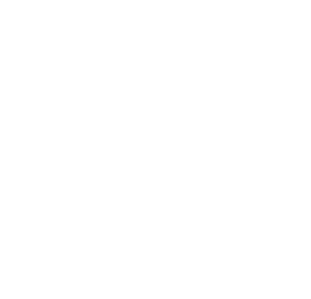 Weißes Peugeot-Logo mit Löwenkopf und Schriftzug