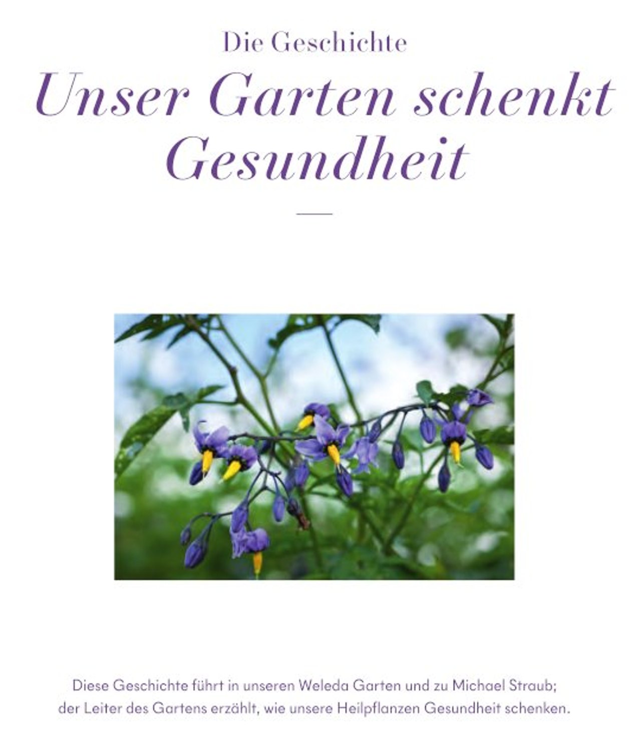 Unser Garten schenkt Gesundheit.