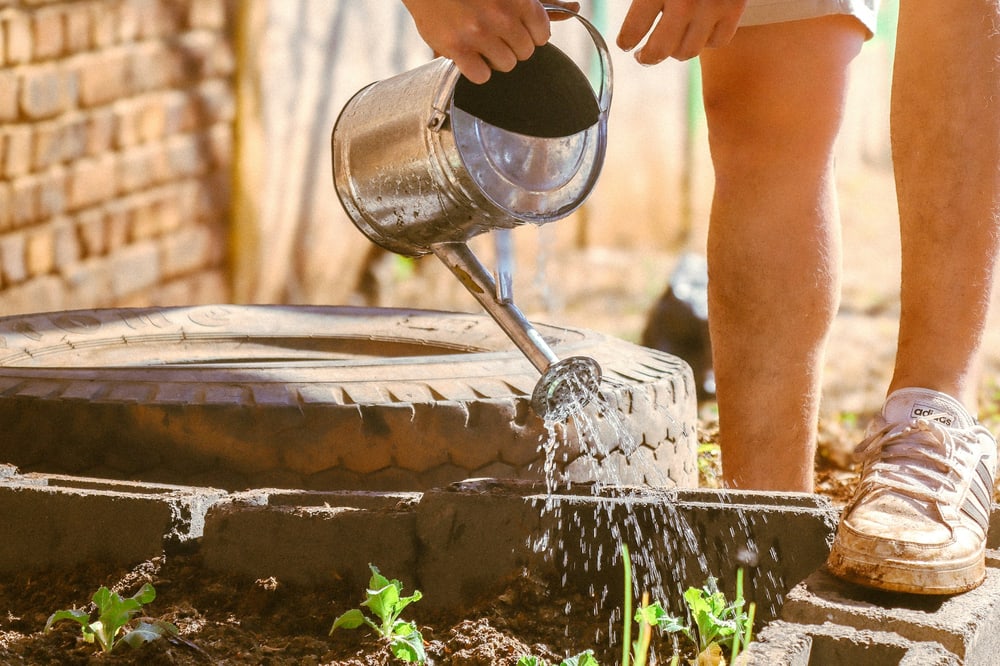 Wasser läuft aus einer Metallgießkanne in ein Beet mit trockener Erde, nur Hände und Beine sind zu sehen