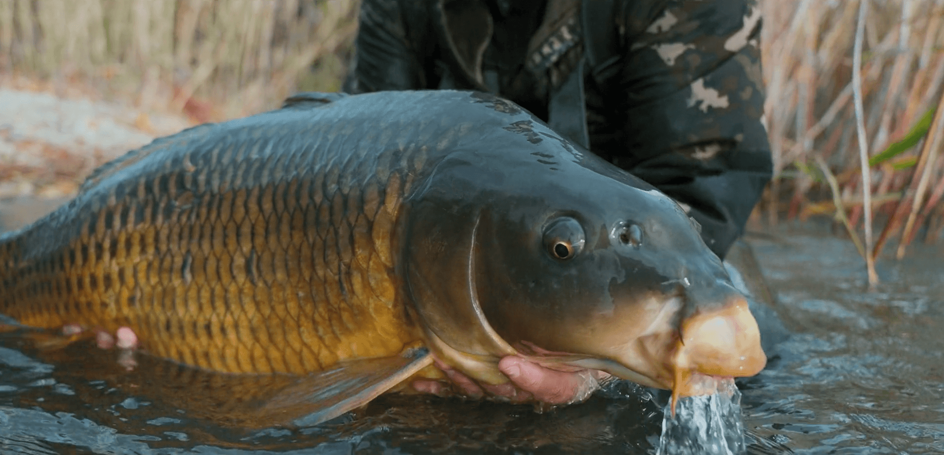 Dokumentationen – Video 1