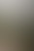 Nebel über einem Hang mit Zypressen