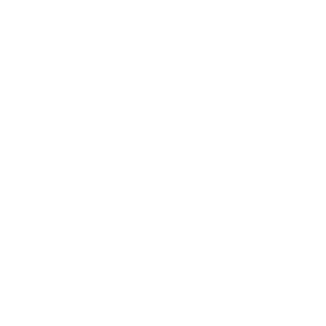 SCHNABEL CONSULTING