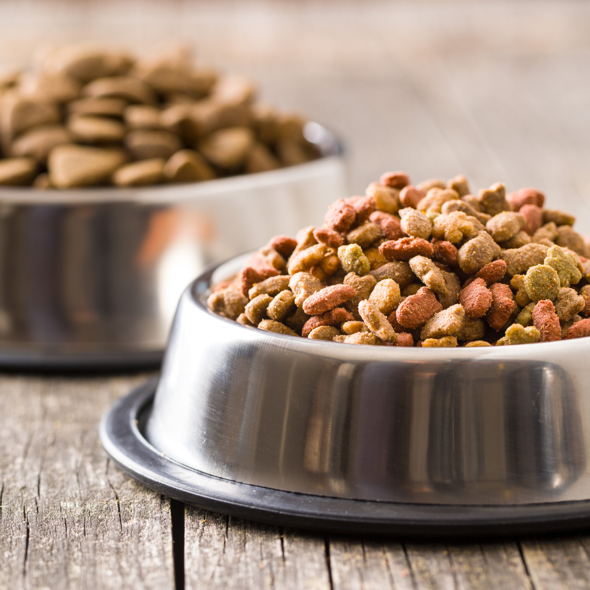 Kibble and treats on a laboratory surface