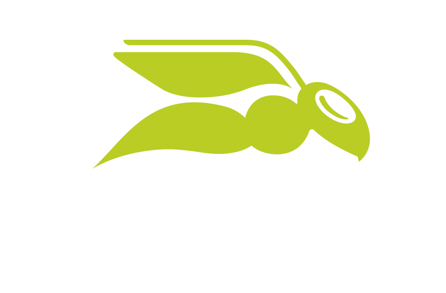 Hornetsecurity by Proofpoint