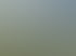 Visualisierung PINUS