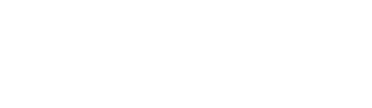 SPEED