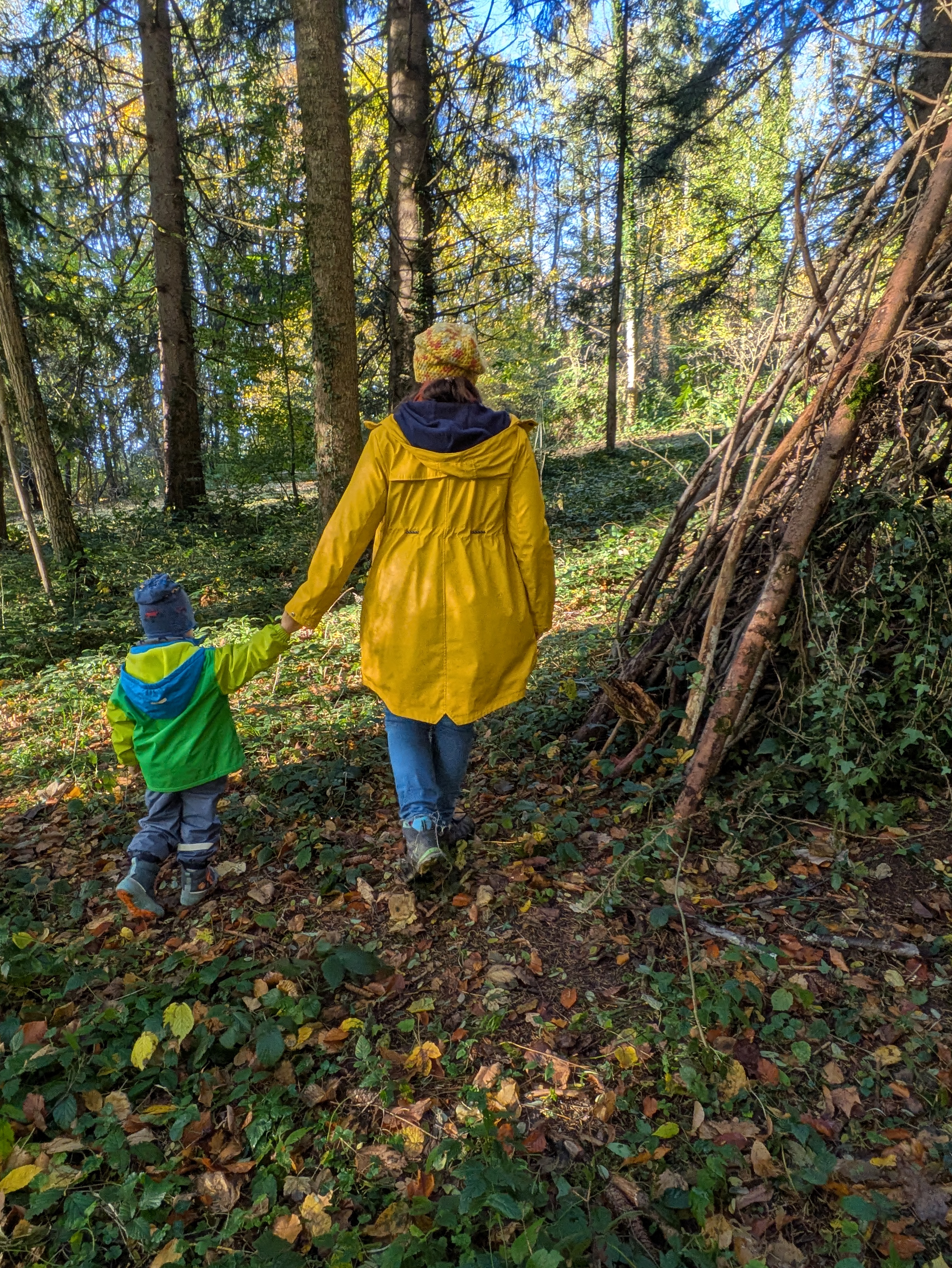 Kinder entdecken den Wald