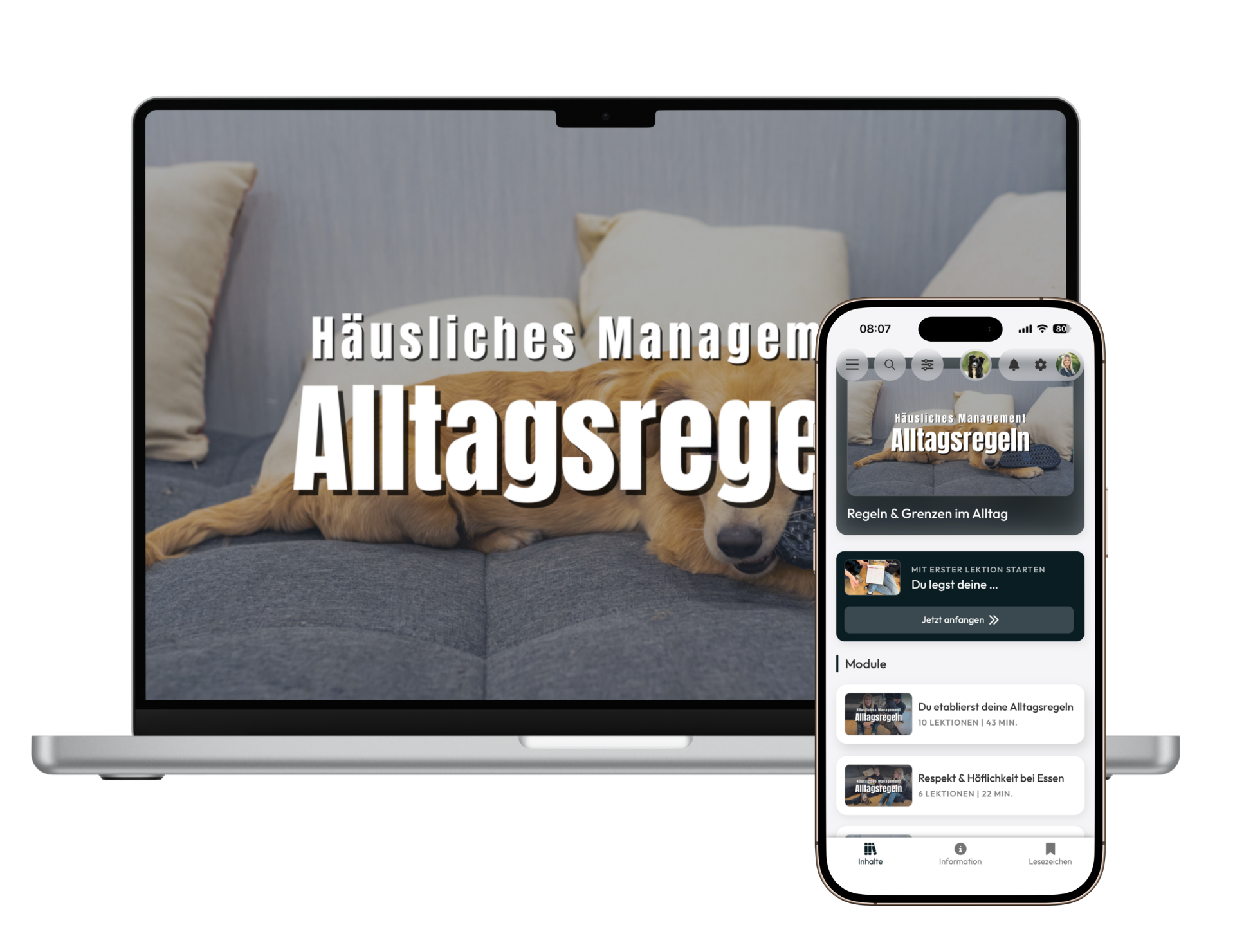 Alltagsregeln Welpe